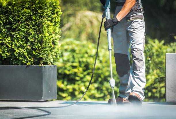 Best Sidewalk and Walkway Pressure Cleaning in Velda City, MO